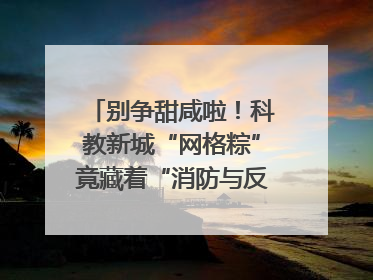 别争甜咸啦！科教新城“网格粽”竟藏着“消防与反诈秘籍”
