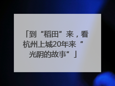 到“稻田”来，看杭州上城20年来“光阴的故事”