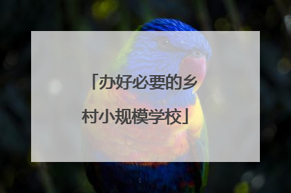 办好必要的乡村小规模学校