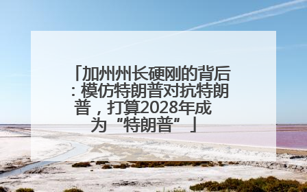 加州州长硬刚的背后：模仿特朗普对抗特朗普，打算2028年成为“特朗普”