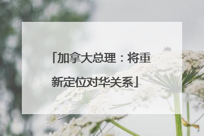 加拿大总理：将重新定位对华关系
