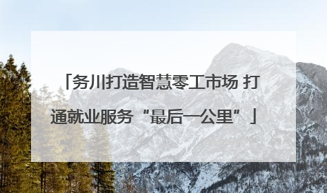 务川打造智慧零工市场 打通就业服务“最后一公里”