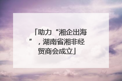 助力“湘企出海”，湖南省湘非经贸商会成立