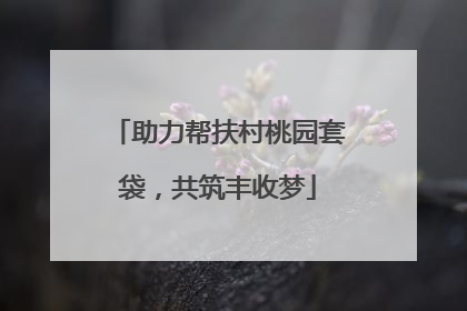 助力帮扶村桃园套袋，共筑丰收梦