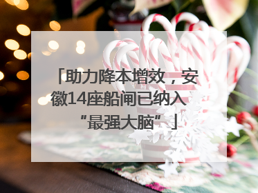 助力降本增效，安徽14座船闸已纳入“最强大脑”