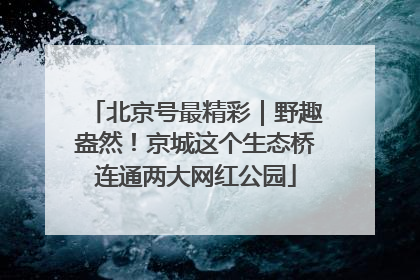 北京号最精彩｜野趣盎然！京城这个生态桥连通两大网红公园