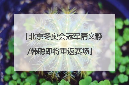 北京冬奥会冠军隋文静/韩聪即将重返赛场