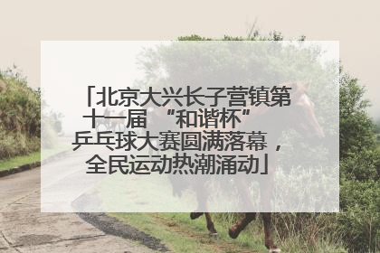 北京大兴长子营镇第十一届 “和谐杯” 乒乓球大赛圆满落幕，全民运动热潮涌动