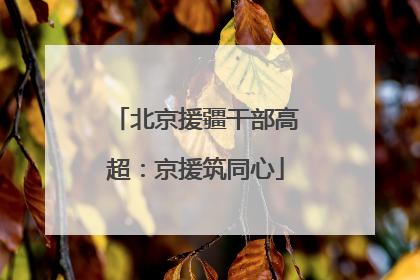 北京援疆干部高超：京援筑同心