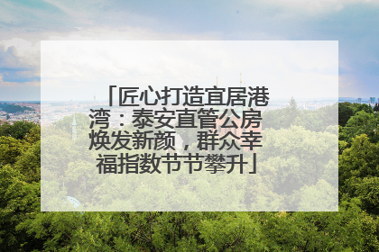匠心打造宜居港湾：泰安直管公房焕发新颜，群众幸福指数节节攀升