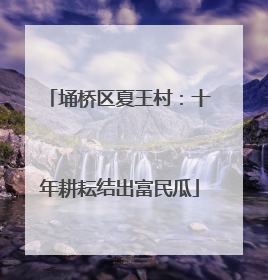 埇桥区夏王村：十年耕耘结出富民瓜