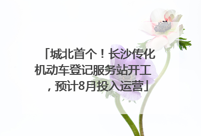 城北首个！长沙传化机动车登记服务站开工，预计8月投入运营