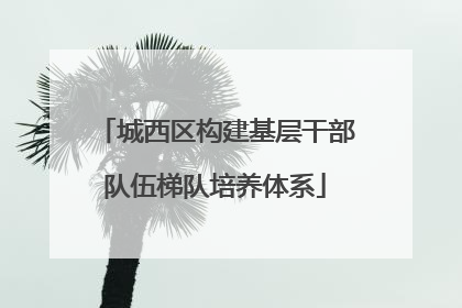 城西区构建基层干部队伍梯队培养体系