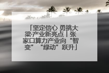 坚定信心 勇挑大梁·产业新亮点丨张家口算力产业向“智变”“绿动”跃升