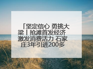 坚定信心 勇挑大梁丨抢滩首发经济 激发消费活力 石家庄3年引进200多家品牌首店