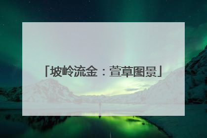 坡岭流金：萱草图景