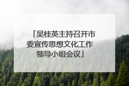 吴桂英主持召开市委宣传思想文化工作领导小组会议