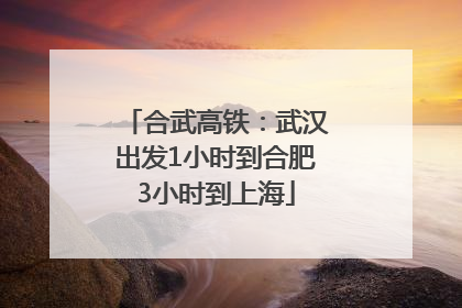 合武高铁：武汉出发1小时到合肥3小时到上海