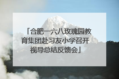 合肥一六八玫瑰园教育集团赴习友小学召开视导总结反馈会