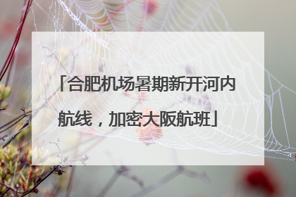 合肥机场暑期新开河内航线，加密大阪航班