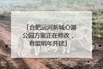 合肥运河新城心湖公园方案正在修改，有望明年开建