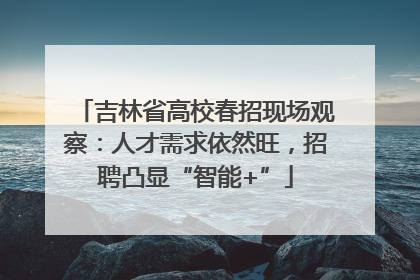 吉林省高校春招现场观察：人才需求依然旺，招聘凸显“智能+”