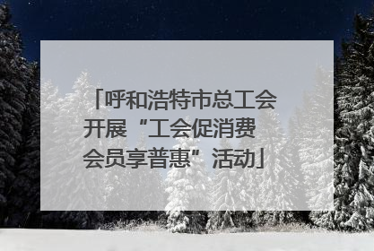 呼和浩特市总工会开展“工会促消费 会员享普惠”活动