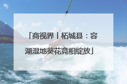 商视界丨柘城县：容湖湿地葵花竞相绽放