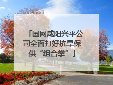 国网咸阳兴平公司全面打好抗旱保供“组合拳”
