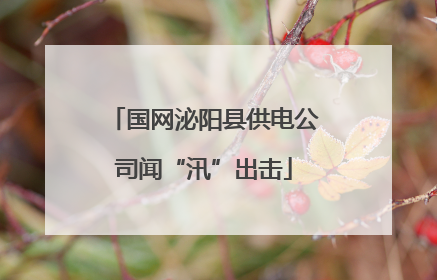 国网泌阳县供电公司闻“汛”出击