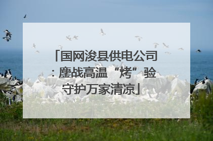 国网浚县供电公司：鏖战高温“烤”验 守护万家清凉