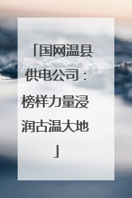 国网温县供电公司：榜样力量浸润古温大地