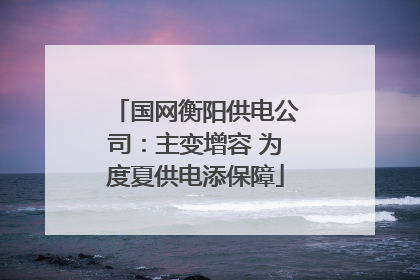 国网衡阳供电公司：主变增容 为度夏供电添保障