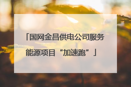 国网金昌供电公司服务能源项目“加速跑”