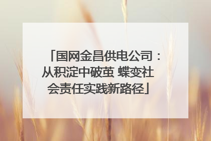 国网金昌供电公司：从积淀中破茧 蝶变社会责任实践新路径