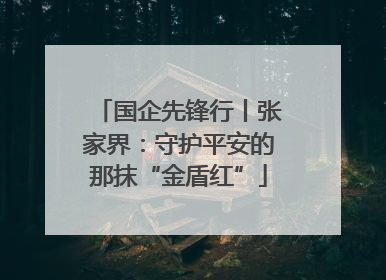 国企先锋行丨张家界：守护平安的那抹“金盾红”
