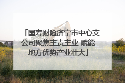 国寿财险济宁市中心支公司聚焦主责主业 赋能地方优势产业壮大