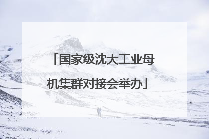 国家级沈大工业母机集群对接会举办