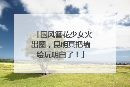 国风簪花少女火出圈，昆明真把墙绘玩明白了！
