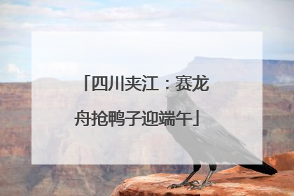 四川夹江：赛龙舟抢鸭子迎端午