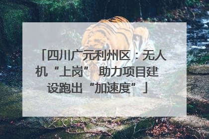 四川广元利州区：无人机“上岗” 助力项目建设跑出“加速度”