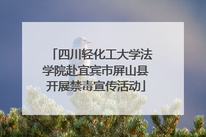 四川轻化工大学法学院赴宜宾市屏山县开展禁毒宣传活动