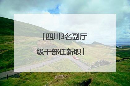 四川3名副厅级干部任新职