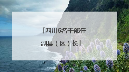 四川6名干部任副县（区）长