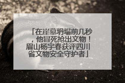 在崖墓坍塌前几秒，他冒死抢出文物！眉山杨宇春获评四川省文物安全守护者
