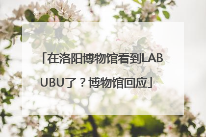 在洛阳博物馆看到LABUBU了？博物馆回应