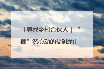 寻找乡村合伙人｜“棚”然心动的盐碱地