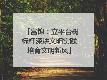 富锦：立平台树标杆深耕文明实践培育文明新风