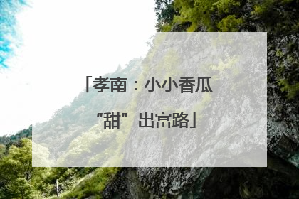 孝南：小小香瓜 “甜”出富路