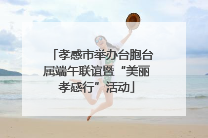孝感市举办台胞台属端午联谊暨“美丽孝感行”活动